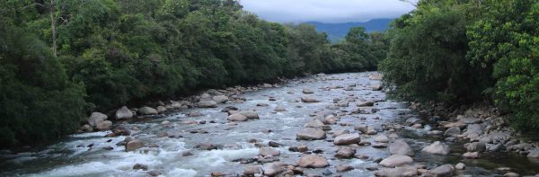Caquetágua: el calendario para recordar el valor de la naturaleza