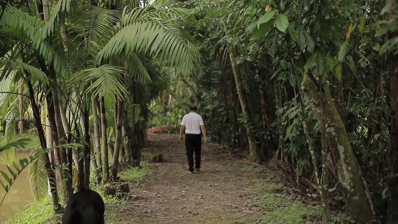 Centro Agroecológico La Cosmopolitana: 29 hectáreas dedicadas a la producción sostenible en el Meta