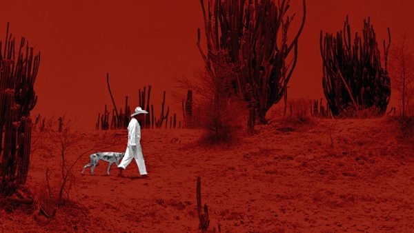 Semana de clásicos en la Cinemateca de Bogotá