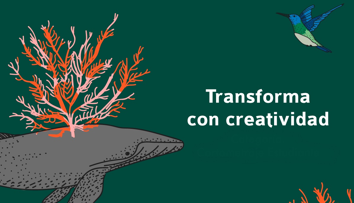 Festival Internacional de Cine Ambiental: convocatoria abierta