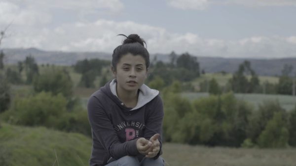 ‘Comproagro’, la página web colombiana que funciona como una plaza de mercado