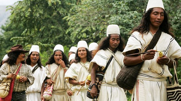 Hay 340.141 familias indígenas en riesgo: Onic