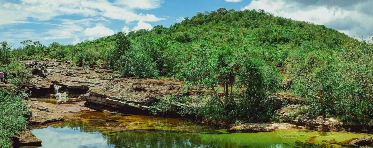 Ocho palabras indígenas que usamos todos los días