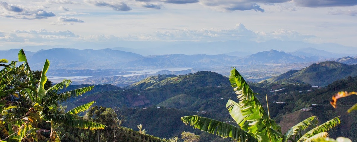 Así se verá la región en Canal Trece en este 2019