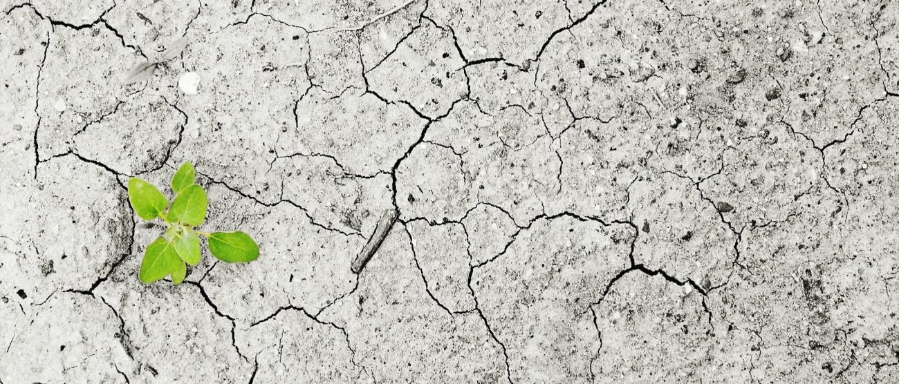 Inequívocamente los humanos hemos alterado el clima mundial