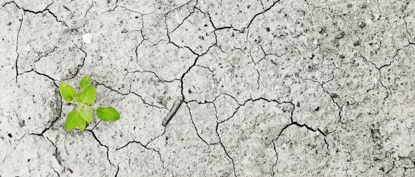 Inequívocamente los humanos hemos alterado el clima mundial