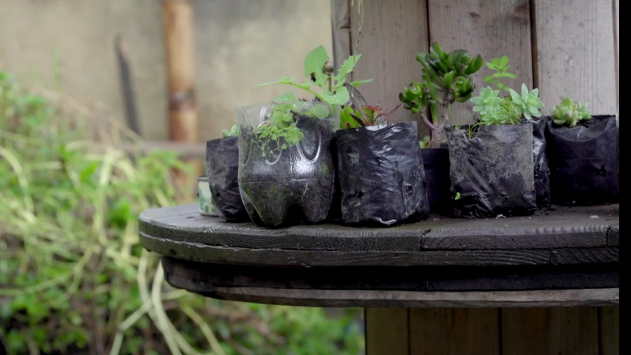 Tres iniciativas que te enseñan sobre las huertas urbanas