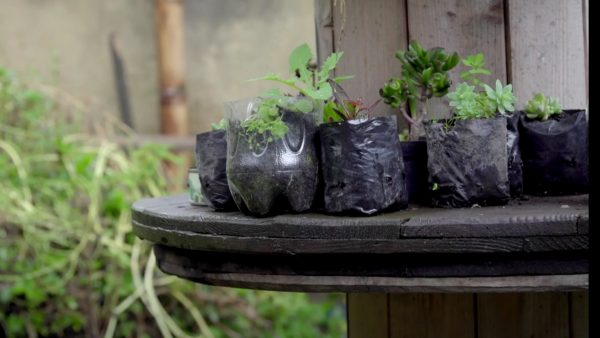 Tres iniciativas que te enseñan sobre las huertas urbanas