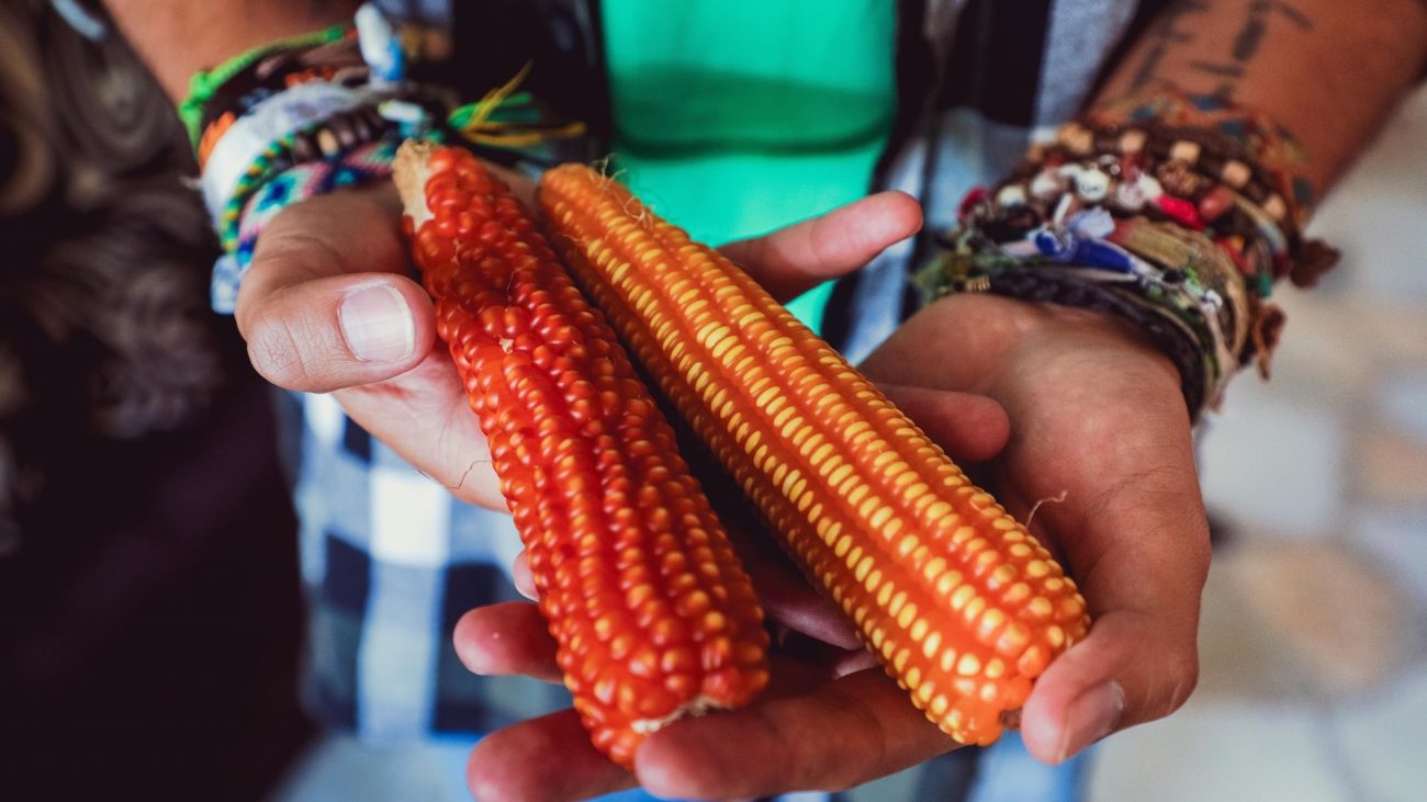 Día del campesino en Colombia, ¿cuál es su origen?