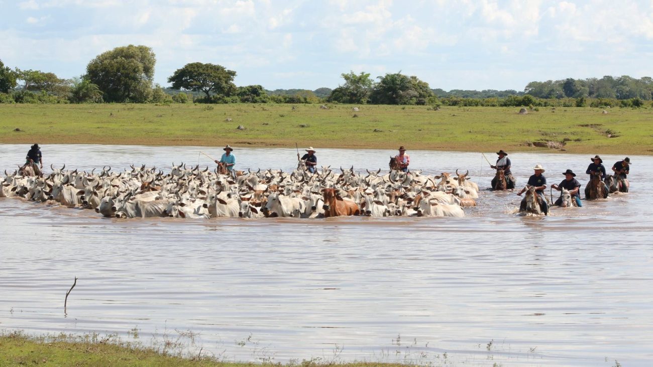 Fotografías de nuestras nueve regiones en el día nacional del fotógrafo
