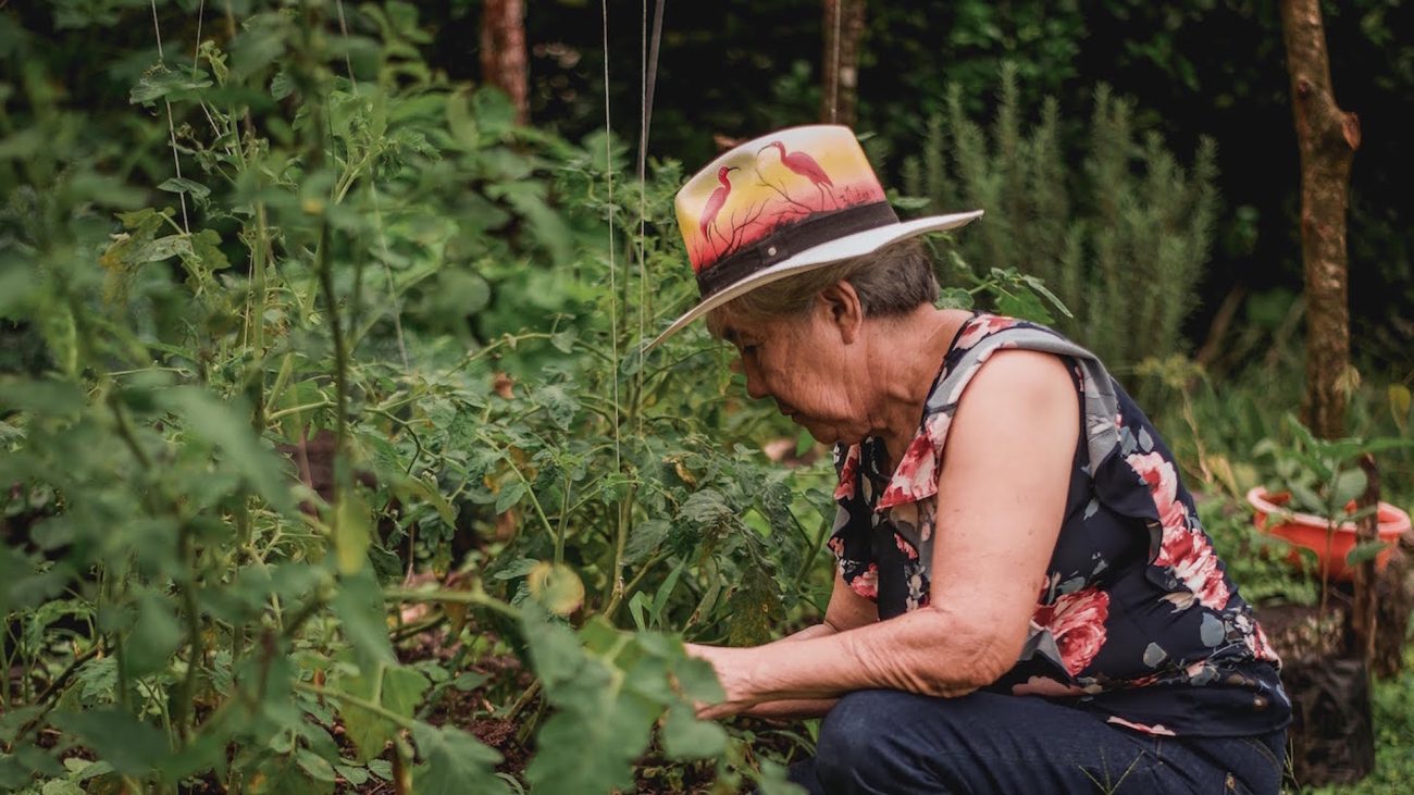 La vida del campesino, siete documentales para ver en YouTube