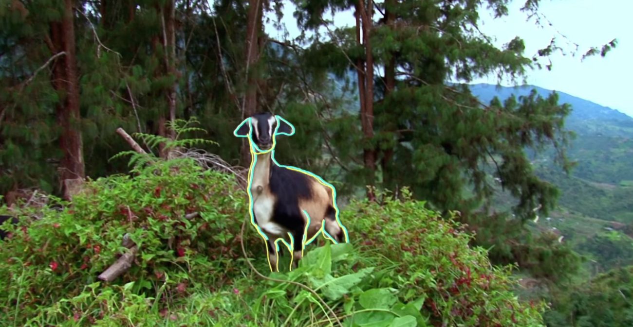 Edson Velandia estrena ‘Montañero’, el primer sencillo de su nuevo disco infantil