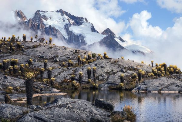 Mostrar bello lo hermoso: el talento de Gabriel Eisenband