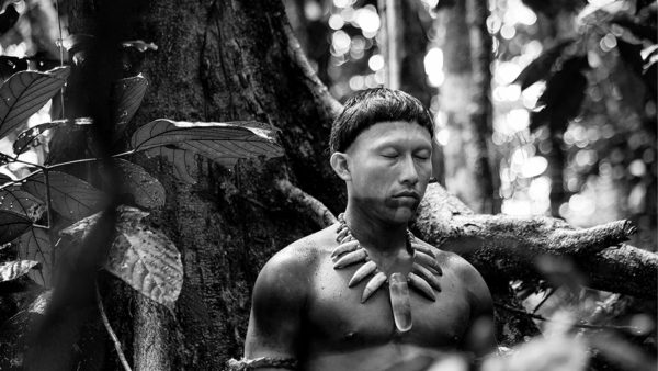 “El abrazo de la serpiente”, ahora disponible gratuitamente en plataformas digitales