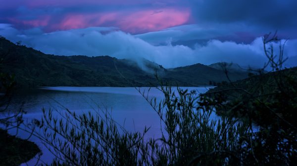 Especies, una nueva expedición