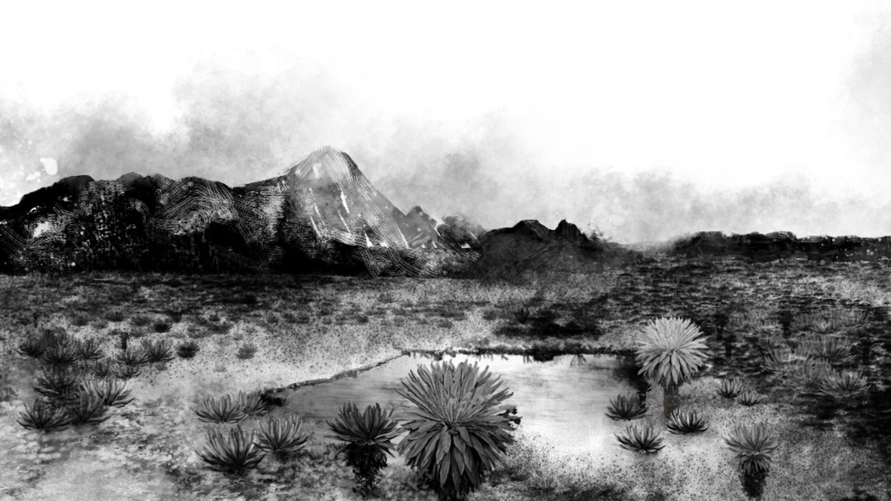 Exposición Sumapaz: del cielo a la tierra