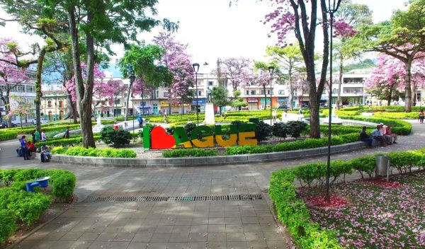 Festival Nacional de Música Colombiana 2019, conoce la programación