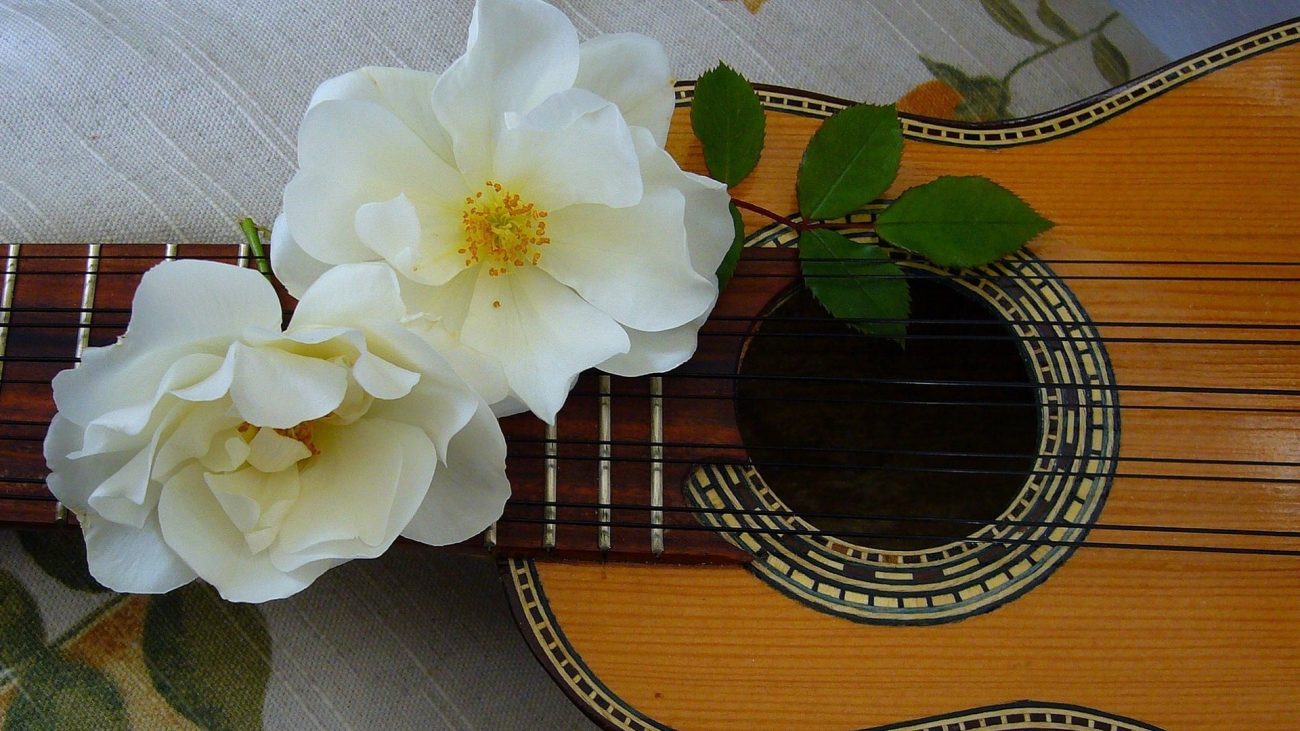 Regresa el Festival Raíces Bogotá Andina.