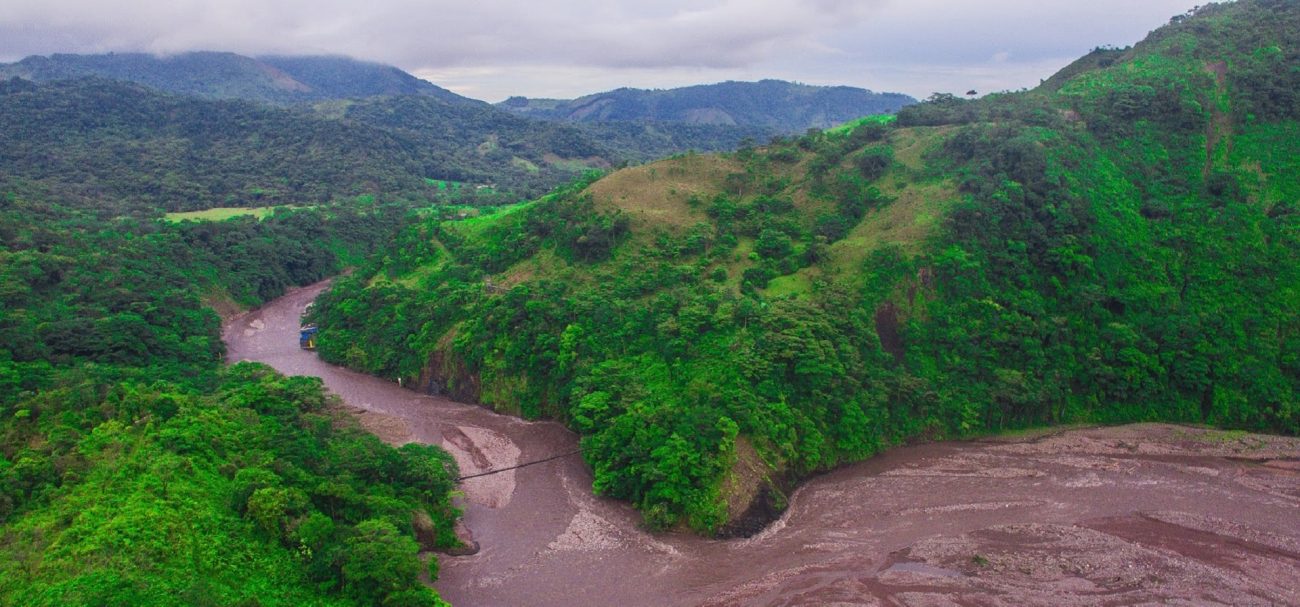 Conoce una nueva plataforma educativa en Colombia sobre el bioma amazónico