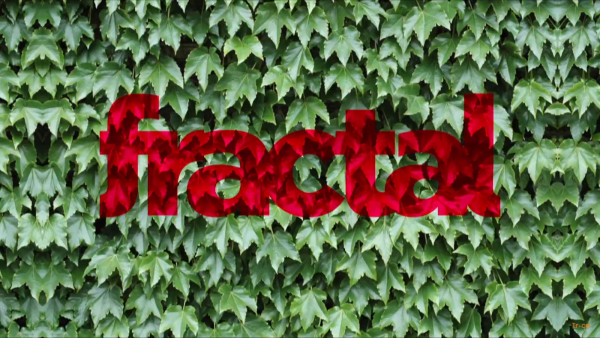 Activismo, letras y rocanrol en Fractal