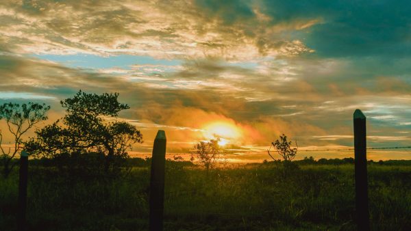 Guaviare: siete destinos para conocerlo y vivirlo