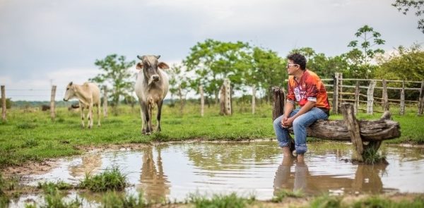 Desde la llanura hasta la sabana bravía, en Casanare Somos Región
