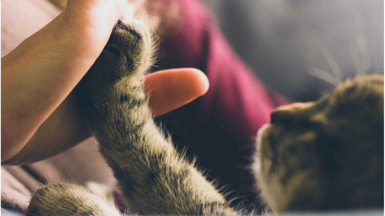 Hermanos y hermanas: historias del corazón