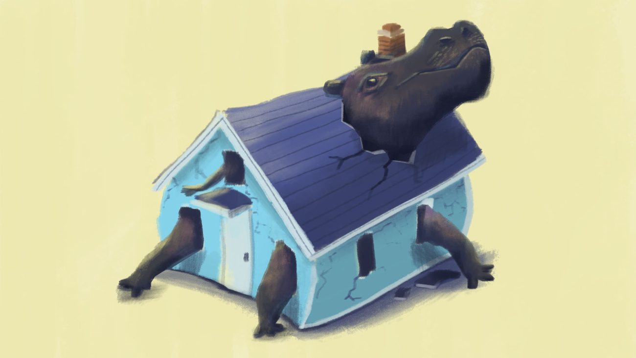 Ahora en Boyacá: el problema con los hipopótamos sigue creciendo