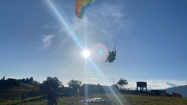 Hobbies Extraordinarios - Descubriendo el Mundo de las Excentricidades