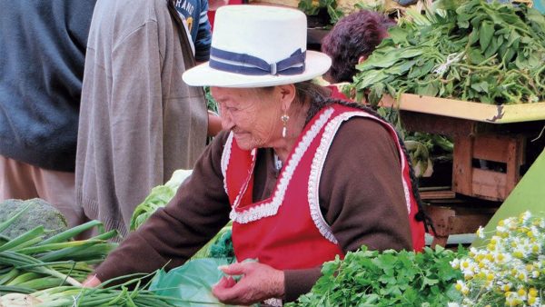 Hoy es el Día Internacional de las Mujeres Rurales