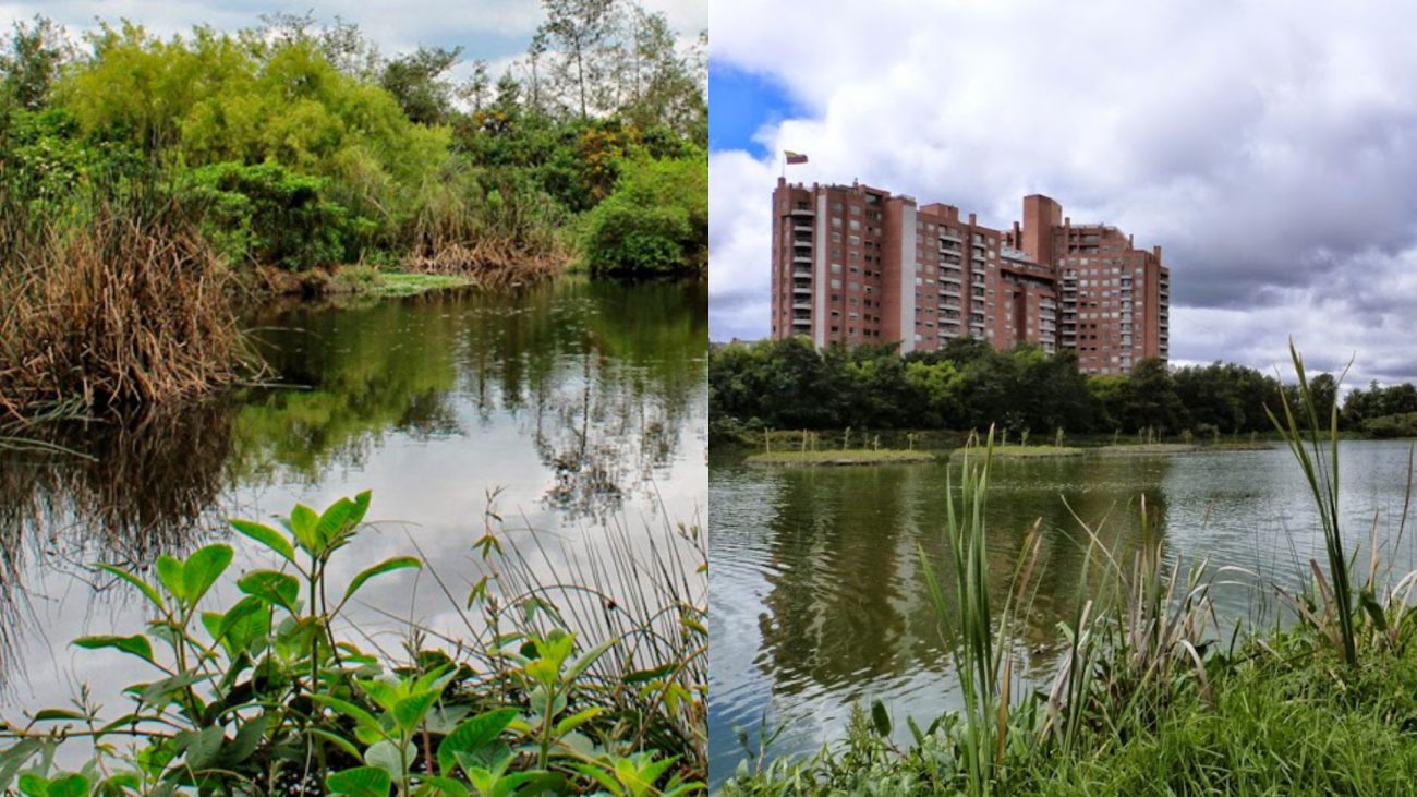 Convocatoria: abren inscripciones para ‘Mujeres cuidadoras de humedales’