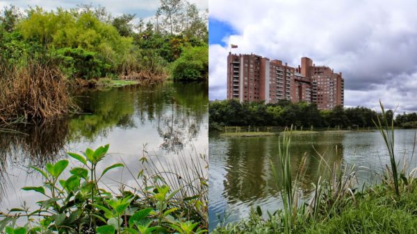 Convocatoria: abren inscripciones para ‘Mujeres cuidadoras de humedales’