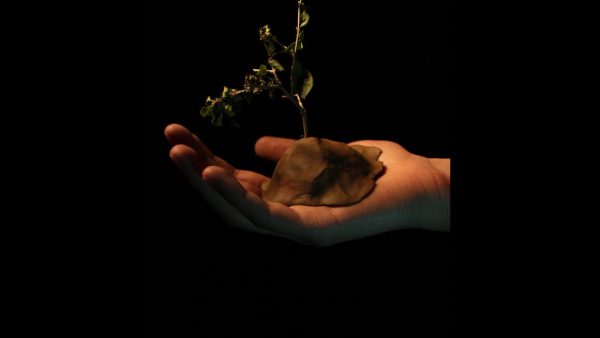 Impresentible: una distopía sensorial de Fabián Acosta