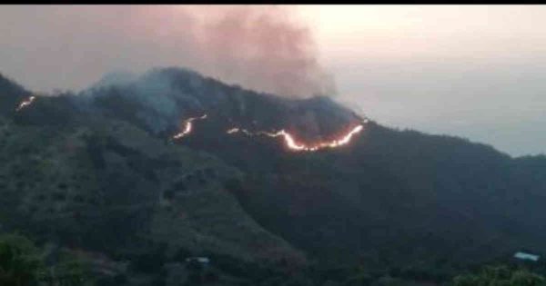 Incendios forestales afectan la Sierra Nevada de Santa Marta