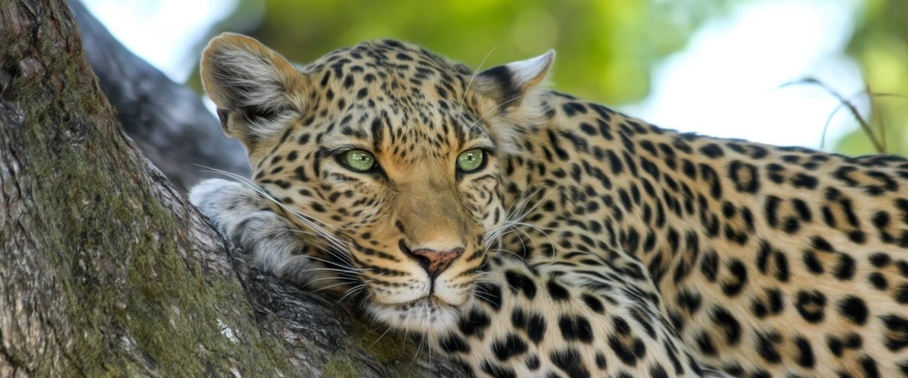 Caquetá para los amantes de la naturaleza