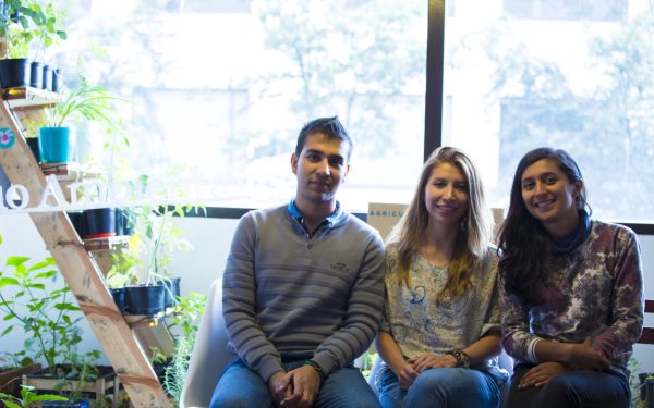 Jamming Festival, música con impacto ambiental