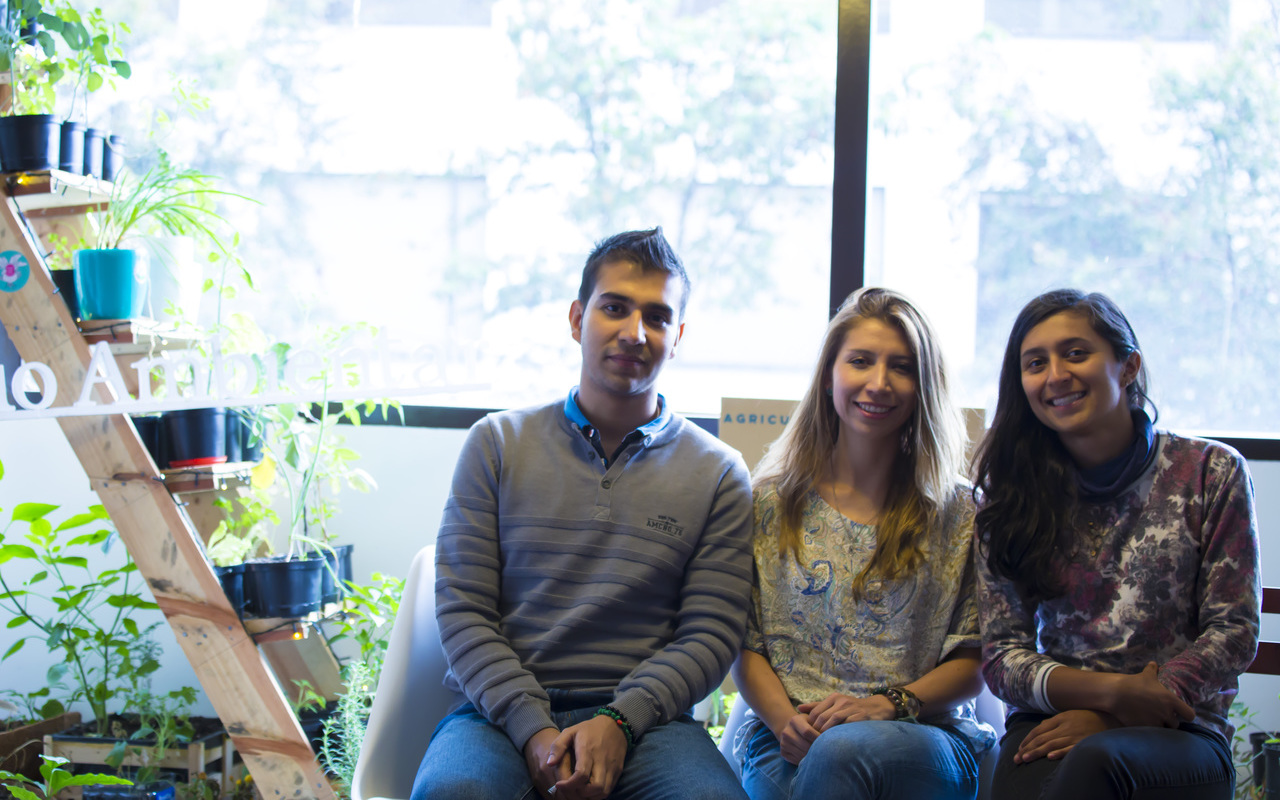 Jamming Festival, música con impacto ambiental