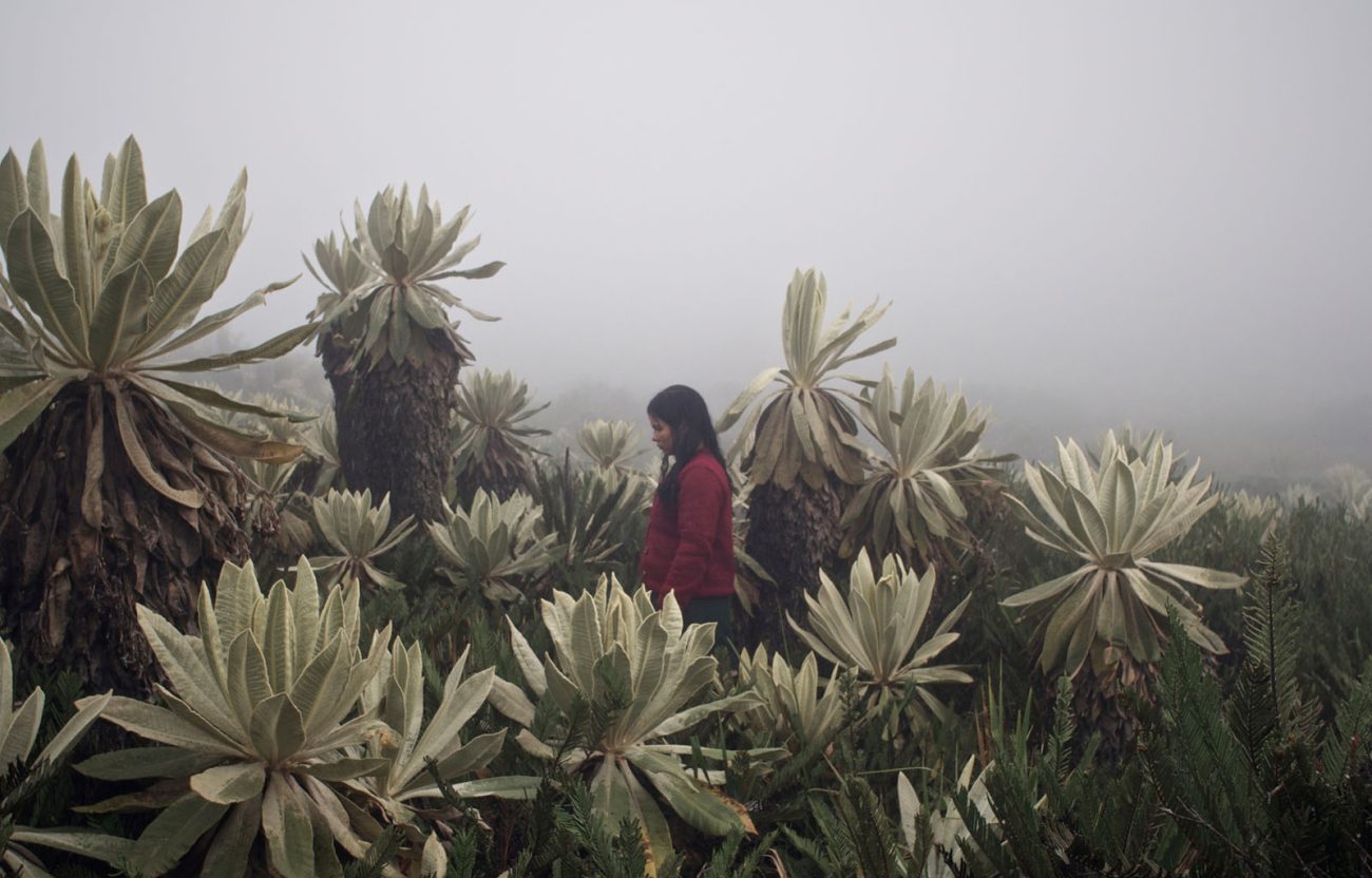 Música y cine: las mejores canciones del cine nacional