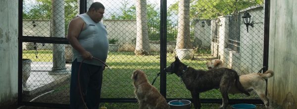 "Nos hemos vuelto una sociedad hipócrita": Carlos Moreno, director de 'Lavaperros'