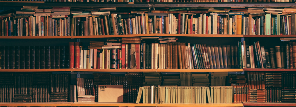 Álvaro Castillo, el librovejero