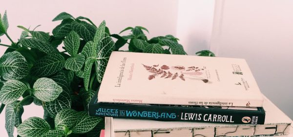 Día del libro: los libros que guardamos en la memoria