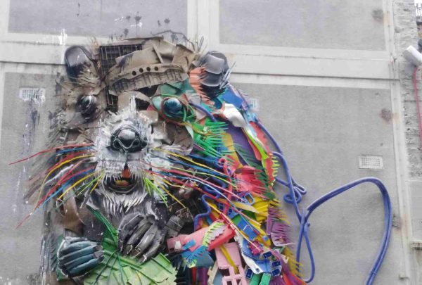 La basura también inspira: 4 libros sobre la discreta belleza de los desechos