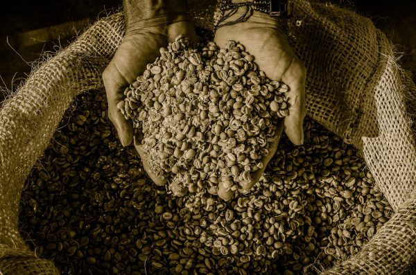 4 lugares para vivir la experiencia del café