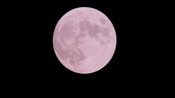 Luna Rosa en abril de 2023: ¿a qué hora se puede ver desde Colombia?