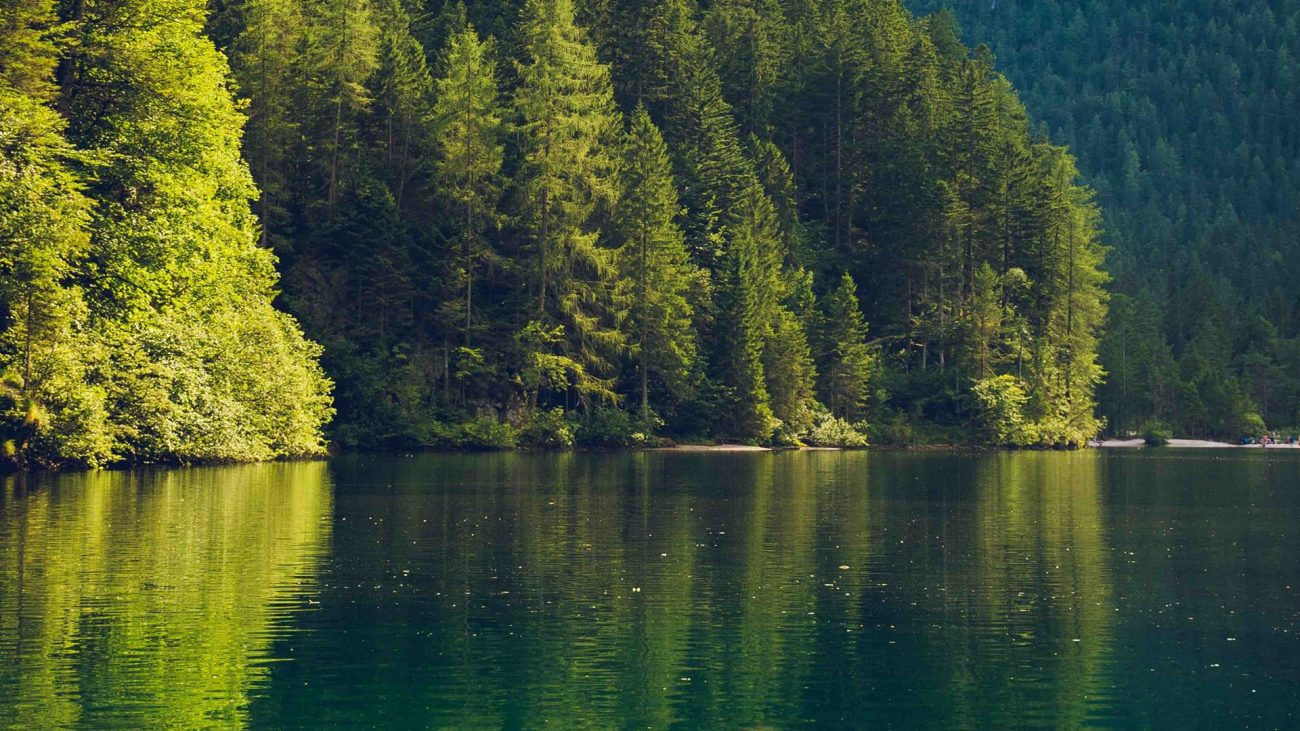 Medio Ambiente: un asunto de los medios de comunicación