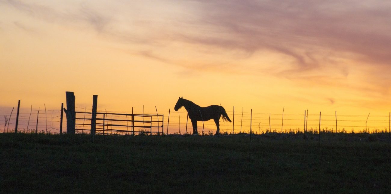 Por si faltaban, cinco razones más para visitar el Meta