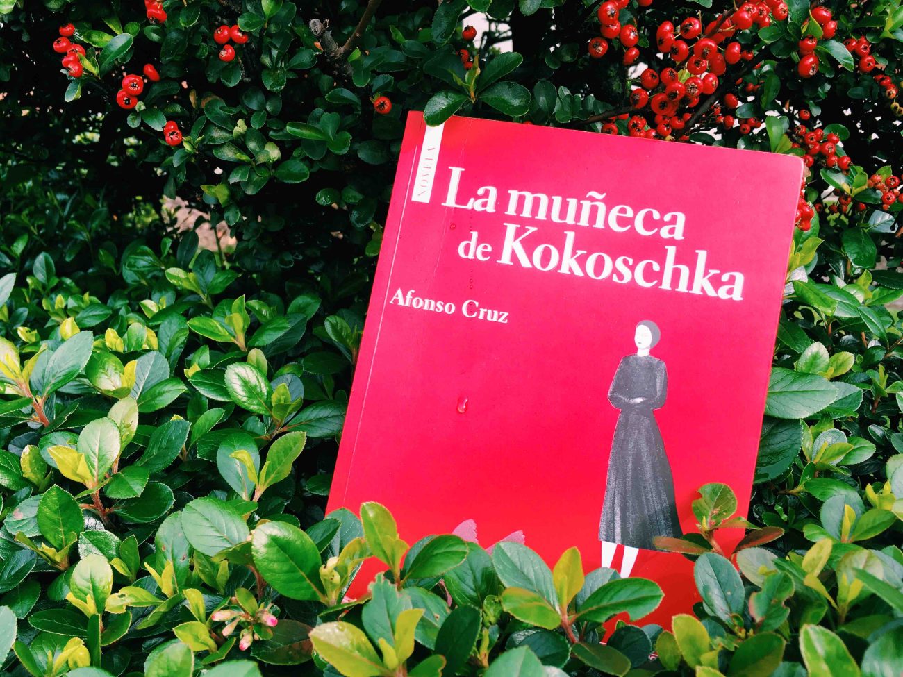 Afonso Cruz: 3 libros y una canción para acercarnos a su literatura