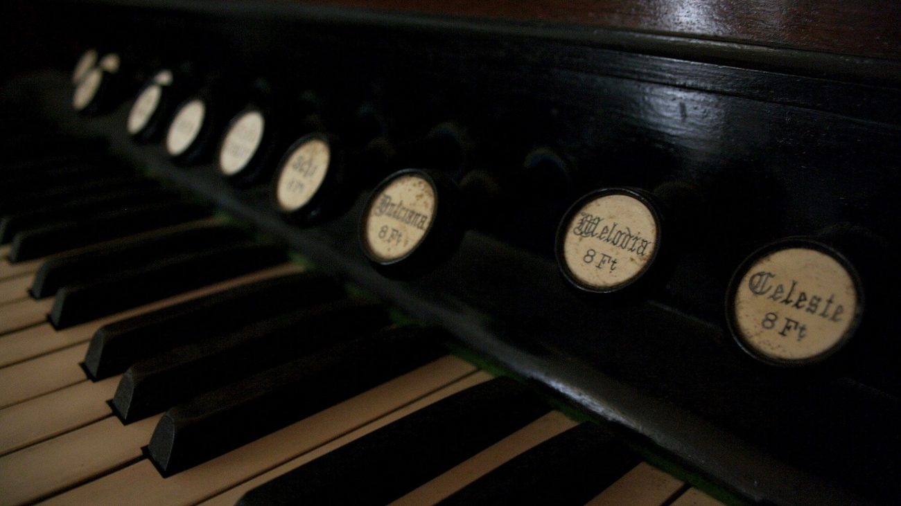 Ya no canta el gallo viejo como cantaba primero