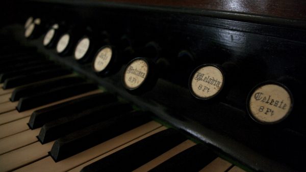 Ya no canta el gallo viejo como cantaba primero