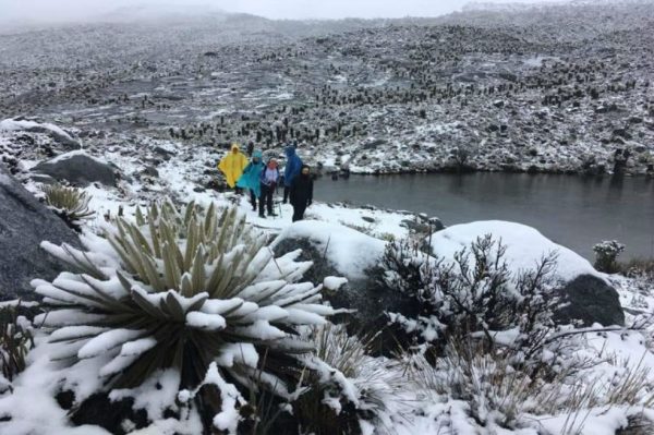 ¡La Sierra Nevada El Cocuy volvió a cubrirse de nieve!